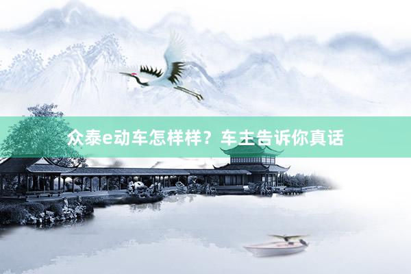 众泰e动车怎样样？车主告诉你真话