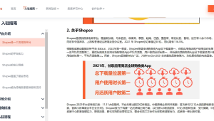 跨境电商新闻网官网