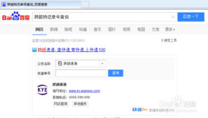 跨越物流查询单号入口