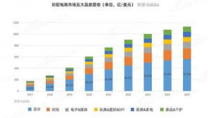 跨境电商市场调研报告模板